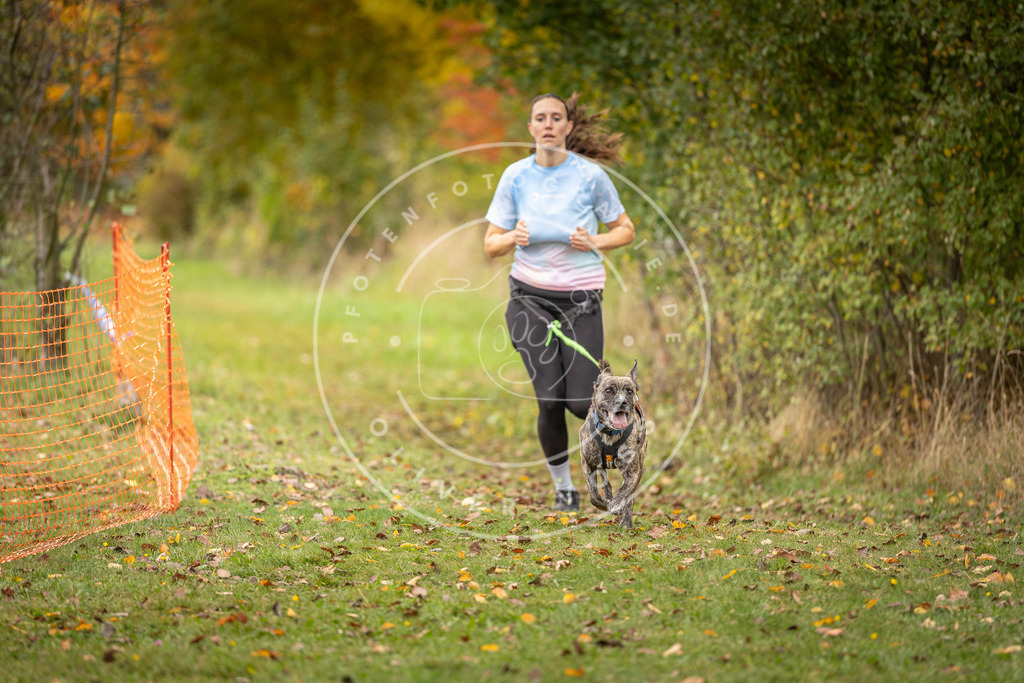 Pfotenfotografie_DV3A4827 | Hundefotografie, Tierfotograf, Pfotenfotografie, Fotoshooting Hund, Hunde Portrait, Hundesport, Hundeportraits, Heideshooting, Hunde, Sportfotograf, Hundefotograf, Turnierhundsport, THS,  - Realisiert mit Pictrs.com