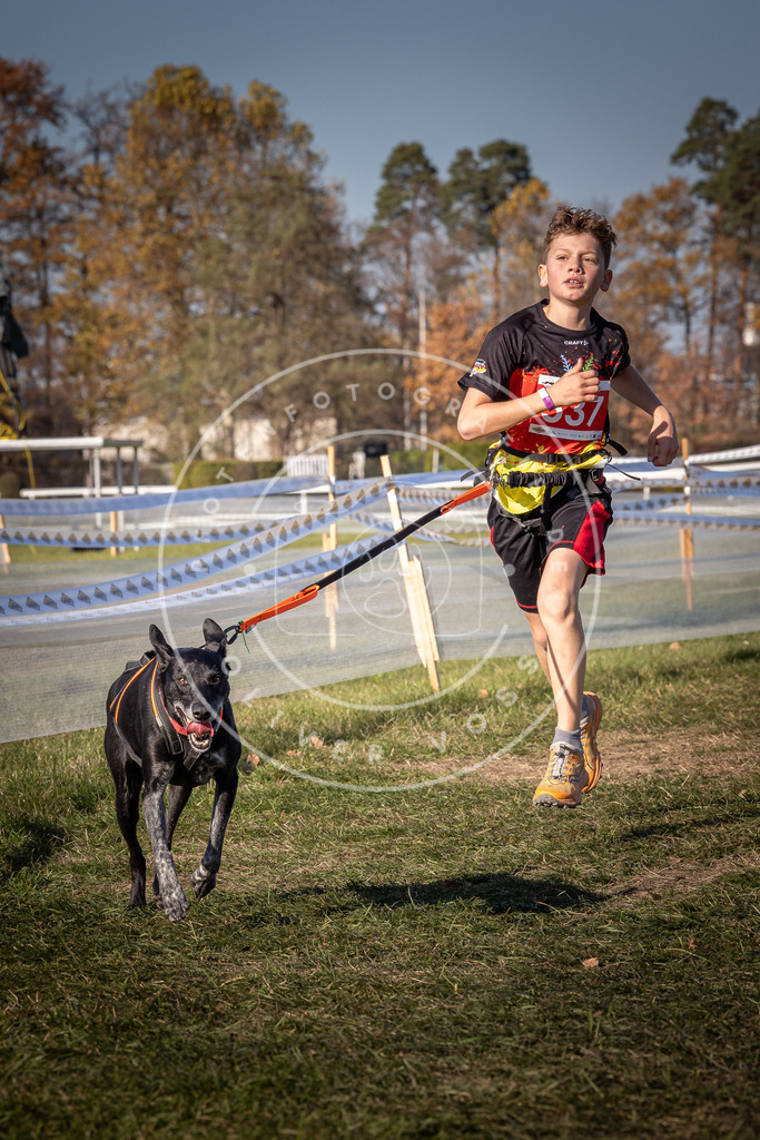 CaniXpix_0L8A7453 | Hundefotografie, Tierfotograf, Pfotenfotografie, Fotoshooting Hund, Hunde Portrait, Hundesport, Hundeportraits, Heideshooting, Hunde, Sportfotograf, Hundefotograf, Turnierhundsport, THS,  - Realisiert mit Pictrs.com
