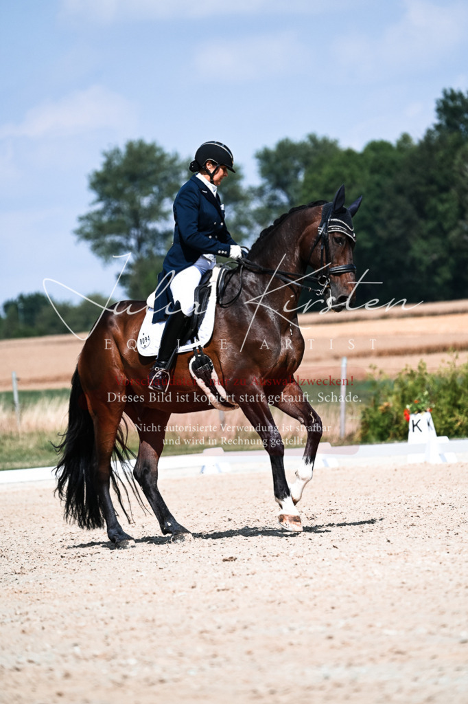 DSC_2906 | Pferde- und Turnierfotografie in Westsachsen. Pferdeportraits, Auftragszeichnungen und intuitive Kunst.