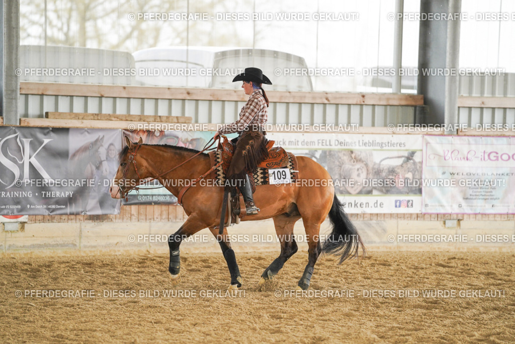 DSC05664 | Pferdegrafie