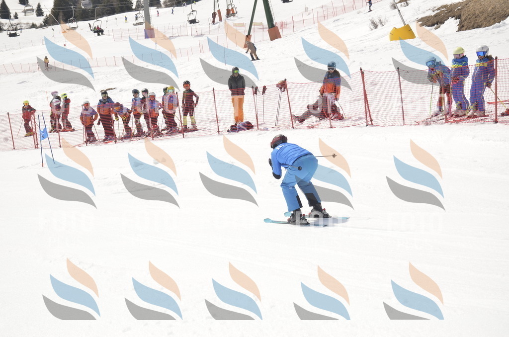 _ELE8440 | holidayphoto