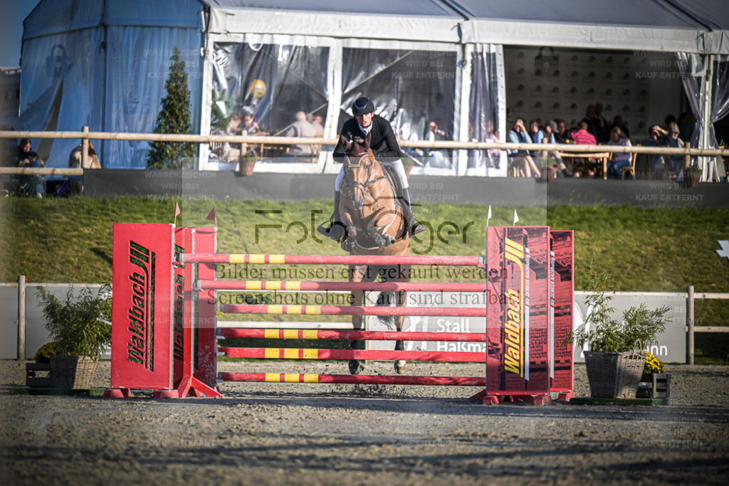 DOS_2409 | Entdecke hochwertige Reitturnierfotos von Foto Oger. Professionell, emotional und authentisch – jetzt Lieblingsmomente im Shop bestellen. - Realisiert mit Pictrs.com