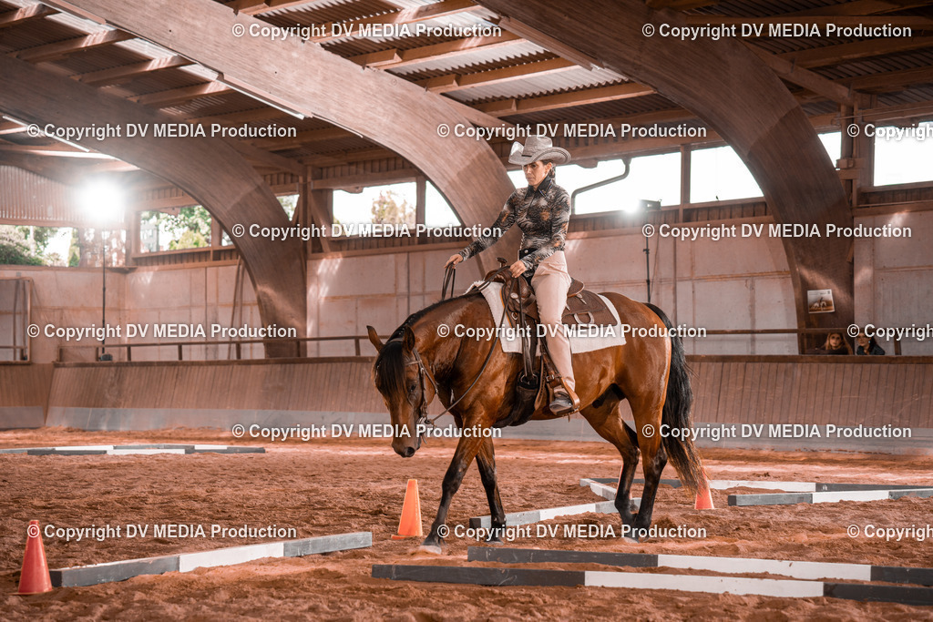 NE200214 | dv-media-shop - Realisiert mit Pictrs.com