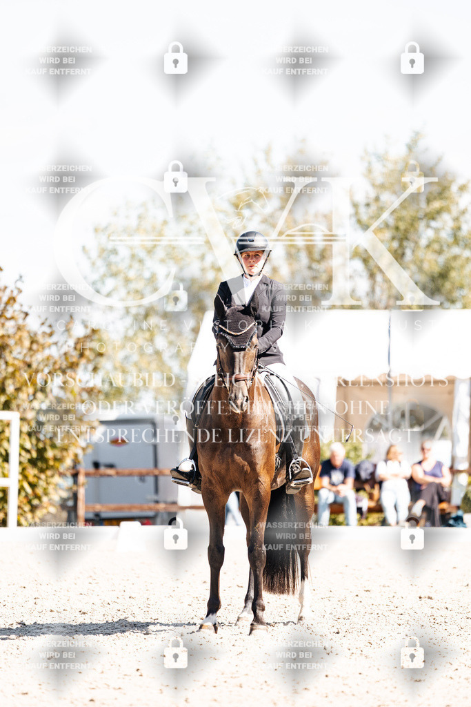 CK903506 | Turnierfotografie Pferdefotografie Trier Rheinland-Pfalz Pferdesport Reitsport Tierfotografie Sportfotografie Pferdevideo Pferdevideografie Equestrianvideography equestrianphotography  - Realisiert mit Pictrs.com