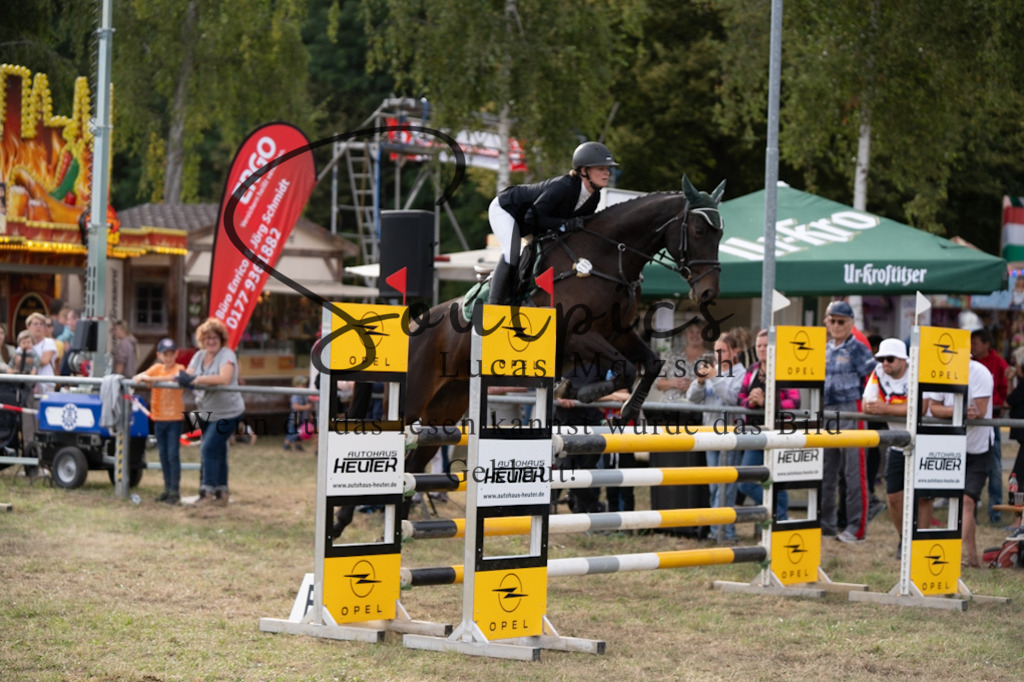 A7V09661 | Pferdefotograf