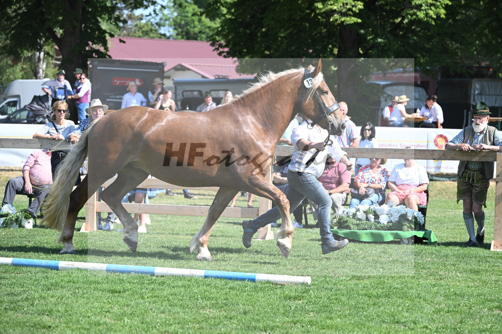 Kat-Nr. 13 Ida_Weiderer_20230204 | hf-fotografie - Realisiert mit Pictrs.com