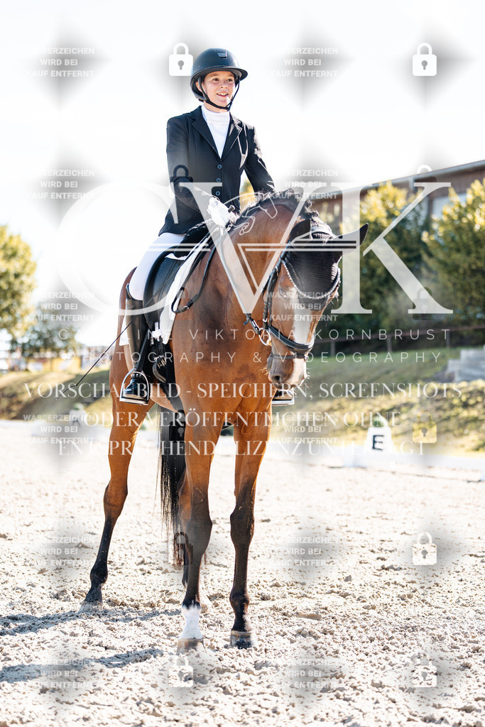 CK908674 | Turnierfotografie Pferdefotografie Trier Rheinland-Pfalz Pferdesport Reitsport Tierfotografie Sportfotografie Pferdevideo Pferdevideografie Equestrianvideography equestrianphotography  - Realisiert mit Pictrs.com