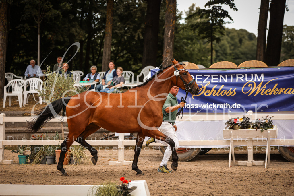 05.So00009 | Leoni Ertmer Photography - Realisiert mit Pictrs.com