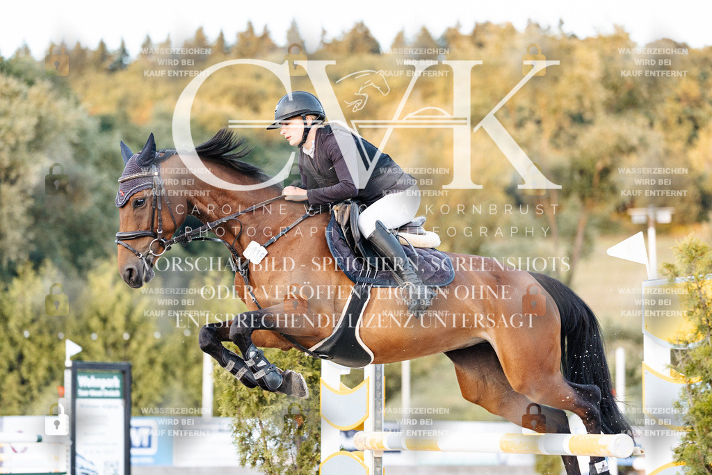 CK901321 | Turnierfotografie Pferdefotografie Trier Rheinland-Pfalz Pferdesport Reitsport Tierfotografie Sportfotografie Pferdevideo Pferdevideografie Equestrianvideography equestrianphotography  - Realisiert mit Pictrs.com