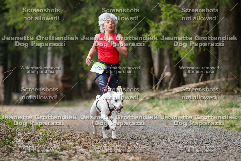 Dog Paparazzi - VCC26-390 | Dog Paparazzi Jeanette Grottendiek Fotografie & Videografie - Realisiert mit Pictrs.com