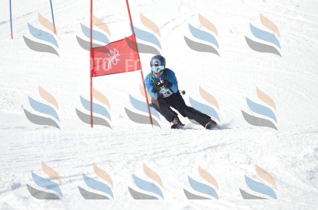 D9027 | holidayphoto