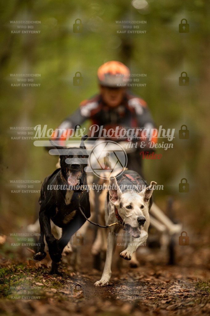 TSB_2023_E1_Kart_Rig-6 | PayLife