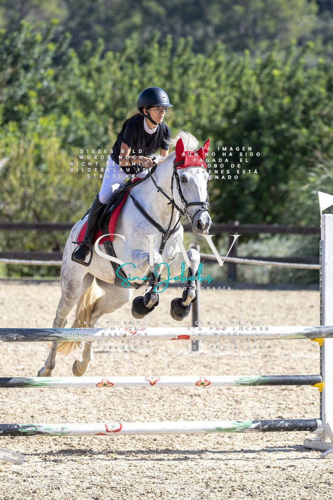 IMG_6473 | s-jay-photography - Realisiert mit Pictrs.com