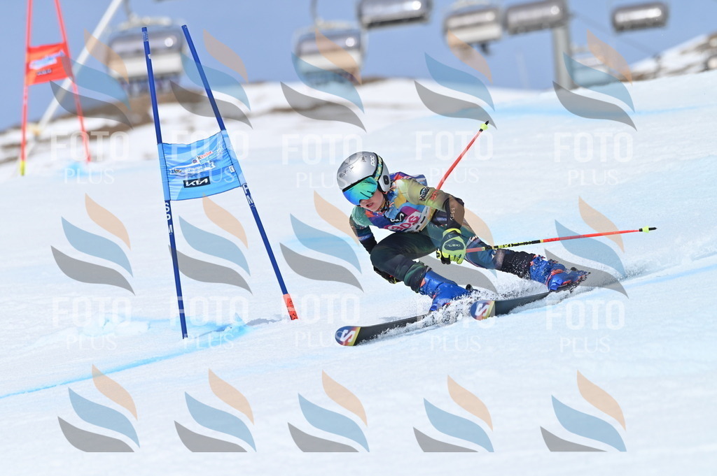 BGV_2868 | holidayphoto