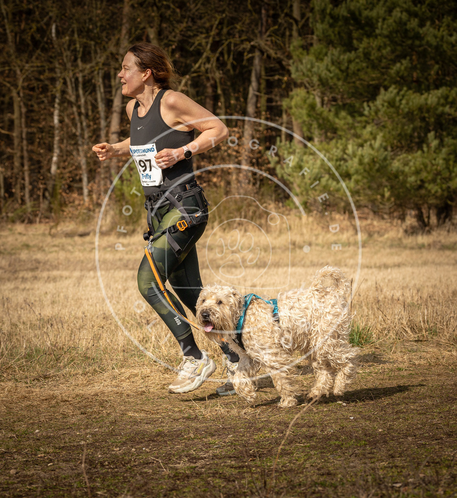 DV3A5459 | Hundefotografie, Tierfotograf, Pfotenfotografie, Fotoshooting Hund, Hunde Portrait, Hundesport, Hundeportraits, Heideshooting, Hunde, Sportfotograf, Hundefotograf, Turnierhundsport, THS,  - Realisiert mit Pictrs.com