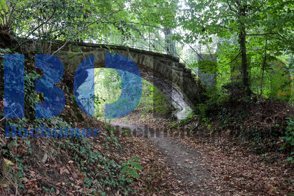 SES_RUHIGA20250918-39 | bond - Realisiert mit Pictrs.com