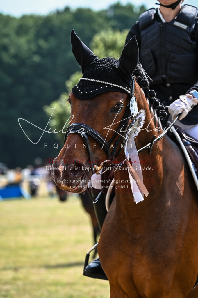 DSC_8603 | Pferde- und Turnierfotografie in Westsachsen. Pferdeportraits, Auftragszeichnungen und intuitive Kunst.
