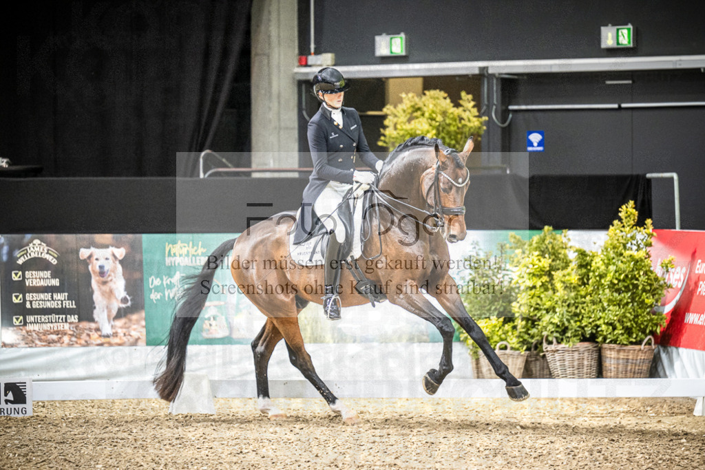 DOS_0091 | Entdecke hochwertige Reitturnierfotos von Foto Oger. Professionell, emotional und authentisch – jetzt Lieblingsmomente im Shop bestellen.Deutschlandweite Turnierfotografie. - Realisiert mit Pictrs.com