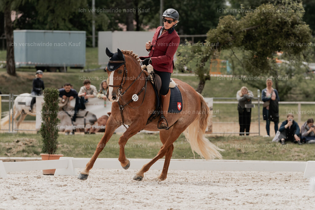 WE_DR_Stoib_323_PI2025_356 | Pferd International München 2025