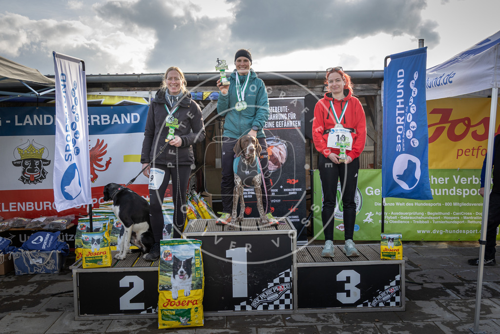 0L8A9129 | Hundefotografie, Tierfotograf, Pfotenfotografie, Fotoshooting Hund, Hunde Portrait, Hundesport, Hundeportraits, Heideshooting, Hunde, Sportfotograf, Hundefotograf, Turnierhundsport, THS,  - Realisiert mit Pictrs.com