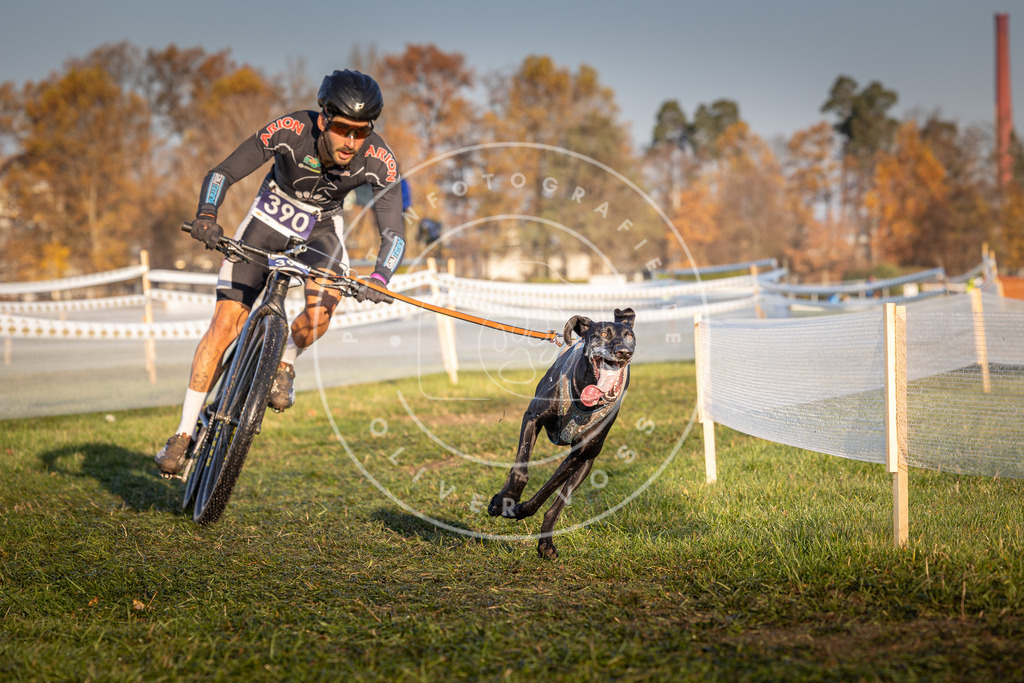 CaniXpix_0L8A3847 | Hundefotografie, Tierfotograf, Pfotenfotografie, Fotoshooting Hund, Hunde Portrait, Hundesport, Hundeportraits, Heideshooting, Hunde, Sportfotograf, Hundefotograf, Turnierhundsport, THS,  - Realisiert mit Pictrs.com
