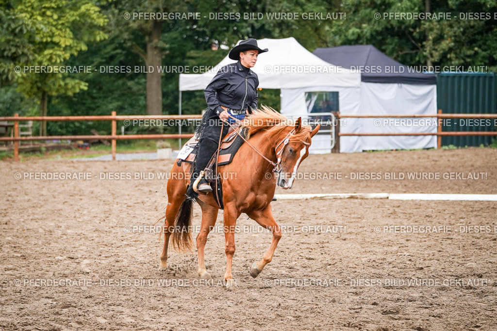 DSC03240 | Pferdegrafie