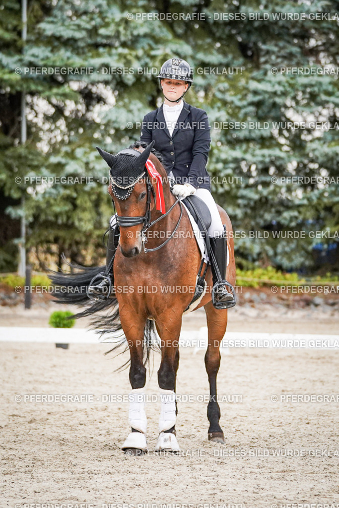 DSC09967 | Pferdegrafie