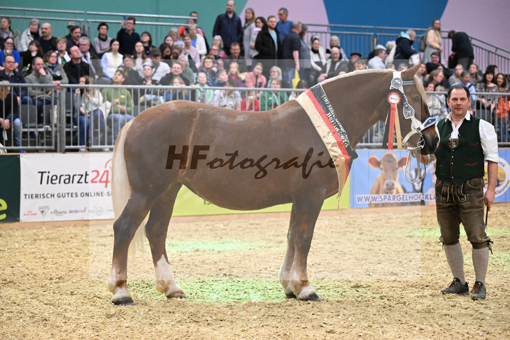 Kat-Nr. 33 Finesse G v. Schmauzenberg_Grandauer_1260724 | hf-fotografie - Realisiert mit Pictrs.com