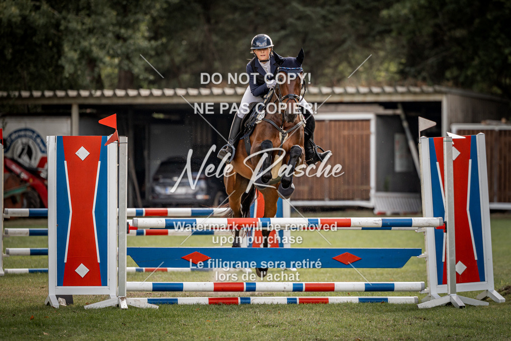 nelerasche_SprA_90Ede_14 | nelerasche