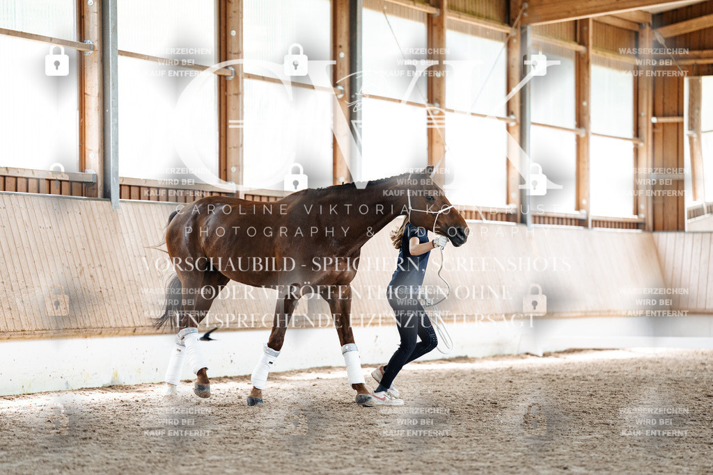 CK907795 | Turnierfotografie Pferdefotografie Trier Rheinland-Pfalz Pferdesport Reitsport Tierfotografie Sportfotografie Pferdevideo Pferdevideografie Equestrianvideography equestrianphotography  - Realisiert mit Pictrs.com