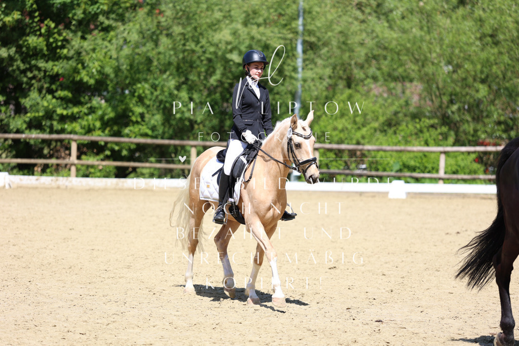 IMGS2815 | pl-fotografie