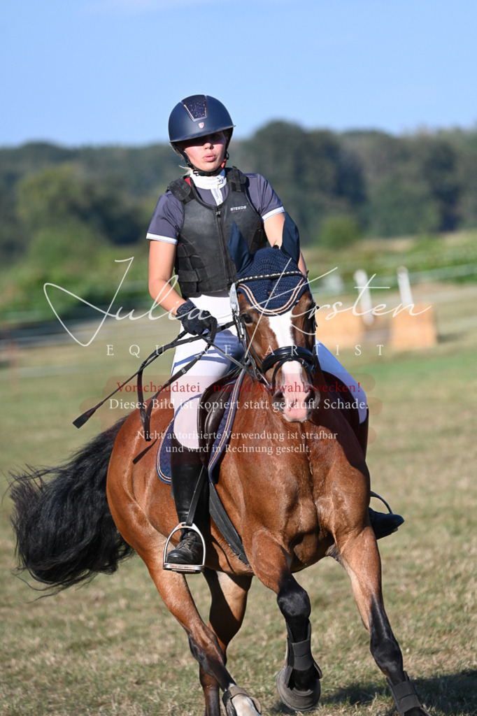 DSC_9101 | Pferde- und Turnierfotografie in Westsachsen. Pferdeportraits, Auftragszeichnungen und intuitive Kunst.