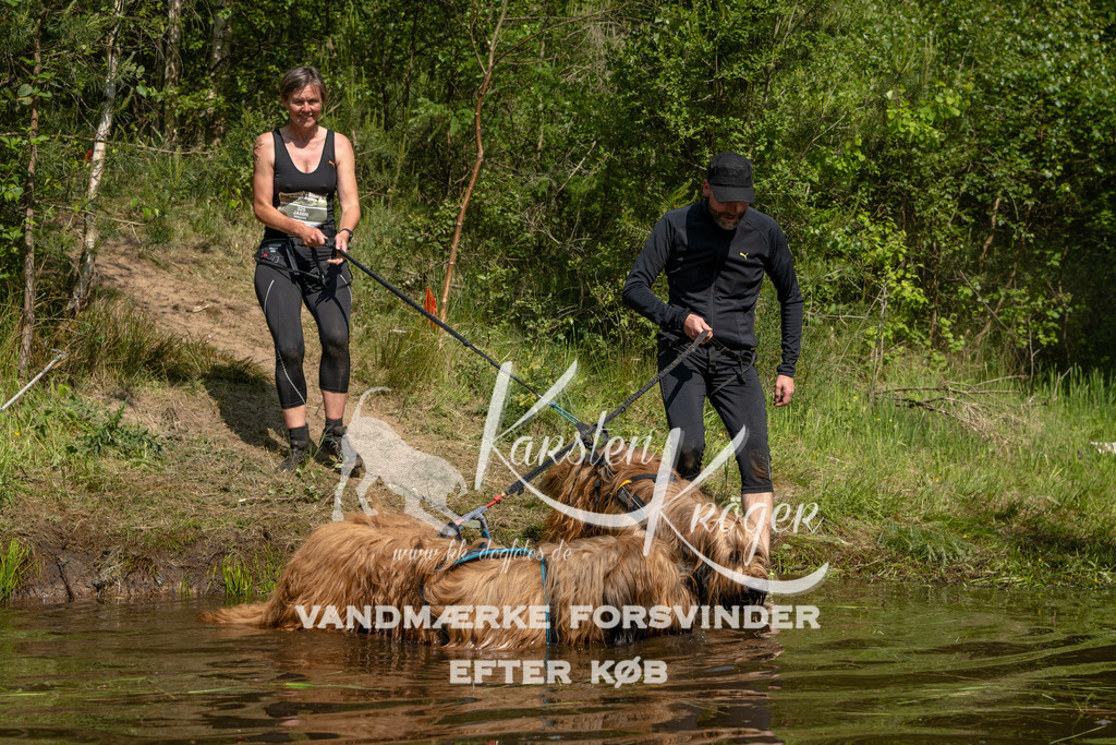 1020DKK990493 | kk-dogfotos