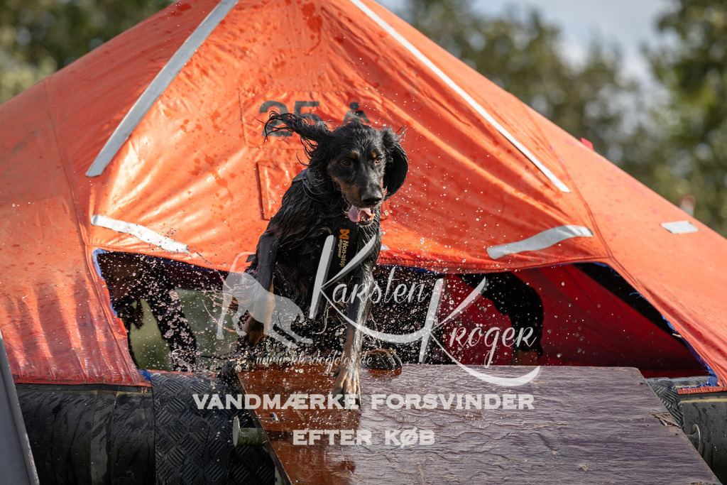 1415-93830 | kk-dogfotos