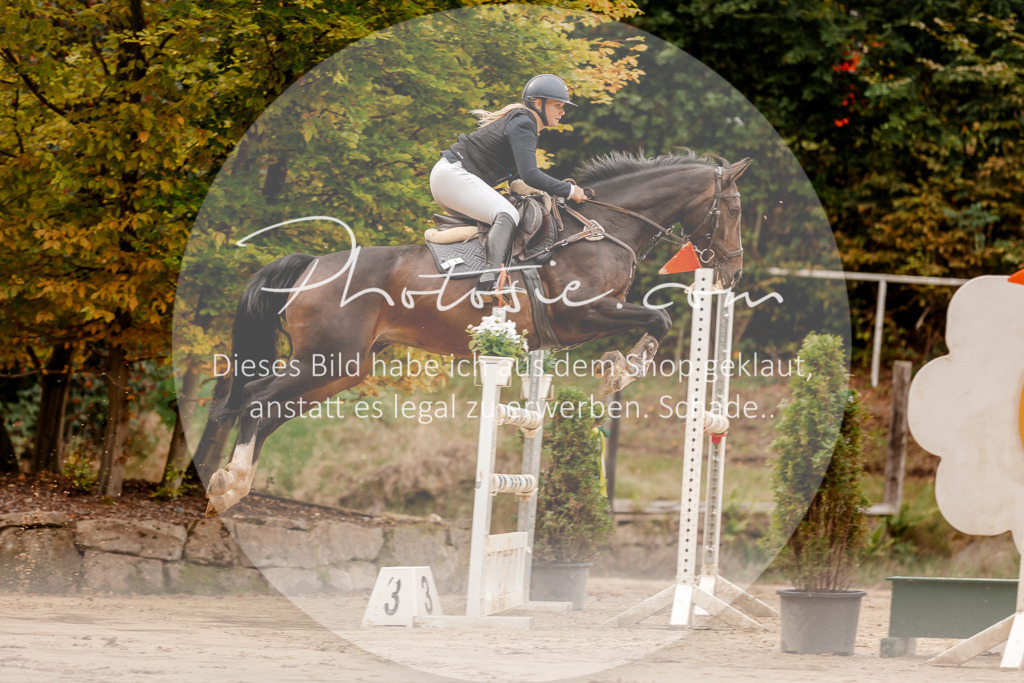 3I6A8066 | Stimmungsvolle Portraits und Reitsportfotografie im Ruhrgebiet und im Münsterland.

Pferdefotografie, Hundefotografie, Tierfotografie, Reportagen, Portraits von Tier und Mensch, Turnierfotografie in Bochum, Recklinghausen, Marl, Haltern am See, Dülmen.. - Realisiert mit Pictrs.com