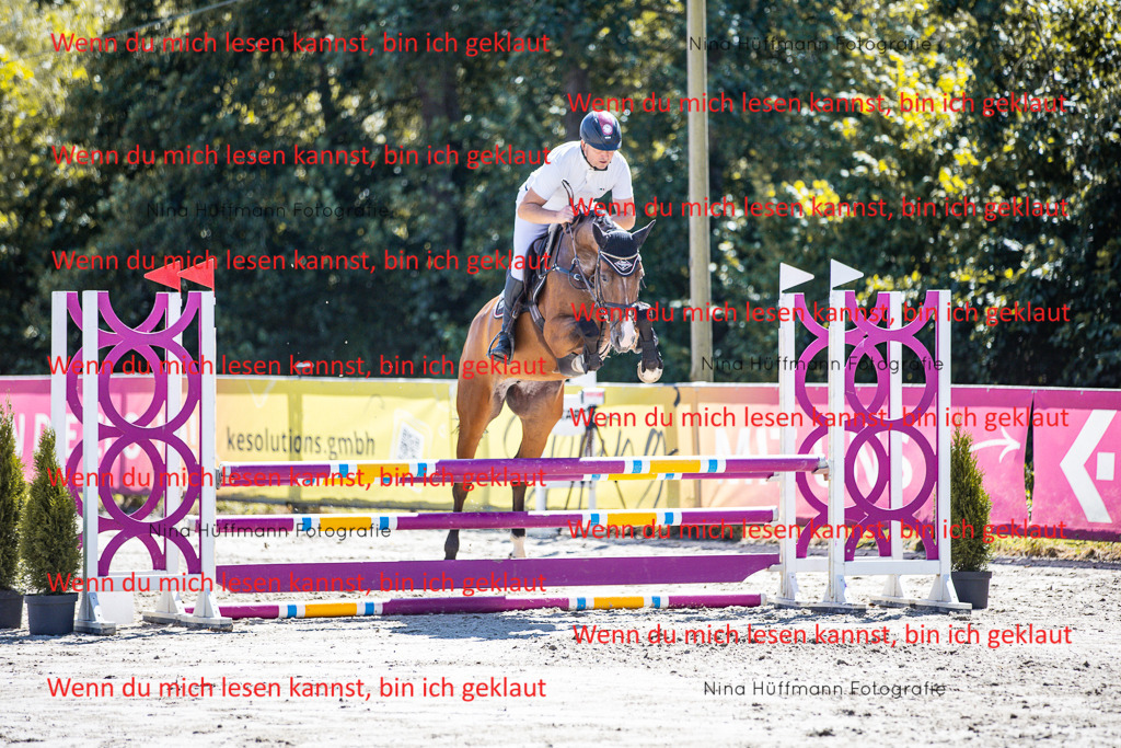 BK1A5289 | Turnierbilder Turnierfotos Nina Hüffmann Turnierfotografie Pferdefotografie Tierzeichnung Haustierzeichnung Pferdezeichnung Hundezeichnung Videograf  - Realisiert mit Pictrs.com