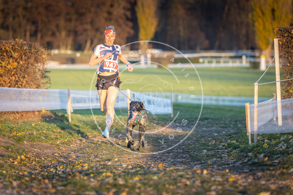 CaniXpix_DV3A5509 | Hundefotografie, Tierfotograf, Pfotenfotografie, Fotoshooting Hund, Hunde Portrait, Hundesport, Hundeportraits, Heideshooting, Hunde, Sportfotograf, Hundefotograf, Turnierhundsport, THS,  - Realisiert mit Pictrs.com