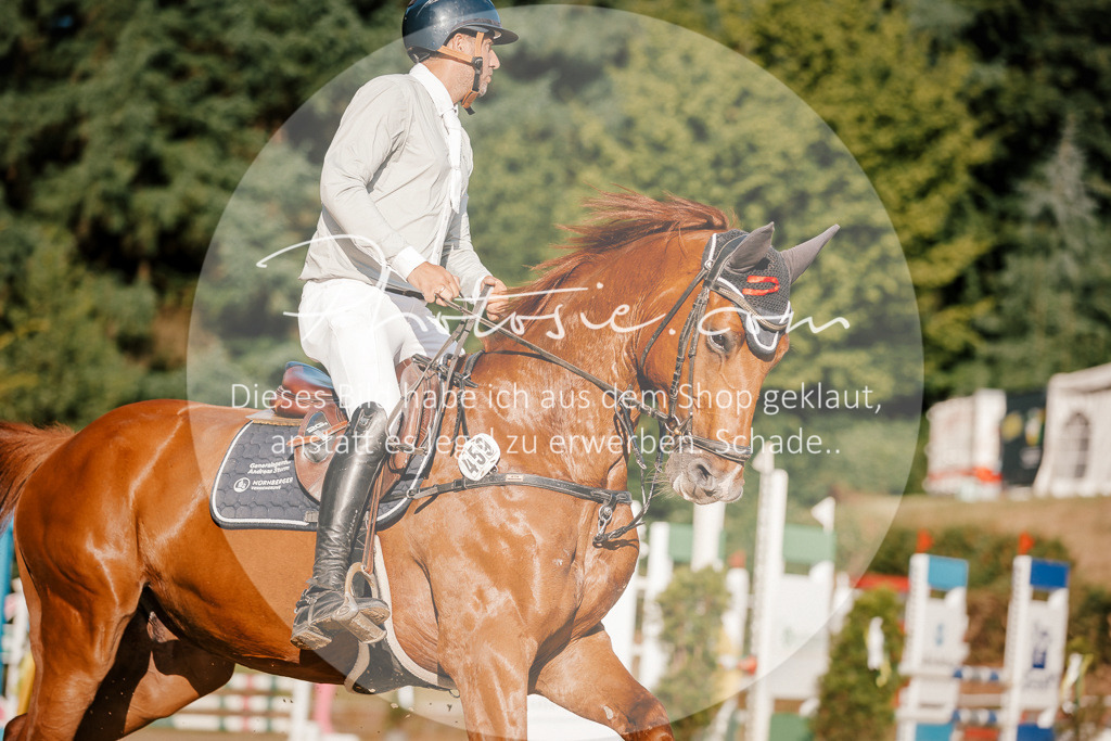3I6A6080 | Stimmungsvolle Portraits und Reitsportfotografie im Ruhrgebiet und im Münsterland.

Pferdefotografie, Hundefotografie, Tierfotografie, Reportagen, Portraits von Tier und Mensch, Turnierfotografie in Bochum, Recklinghausen, Marl, Haltern am See, Dülmen.. - Realisiert mit Pictrs.com