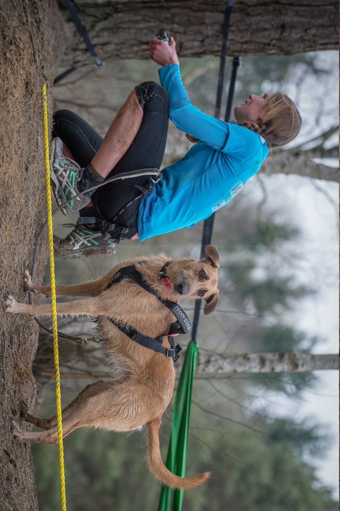 WD4_9168-Bearbeitet | kk-dogfotos
