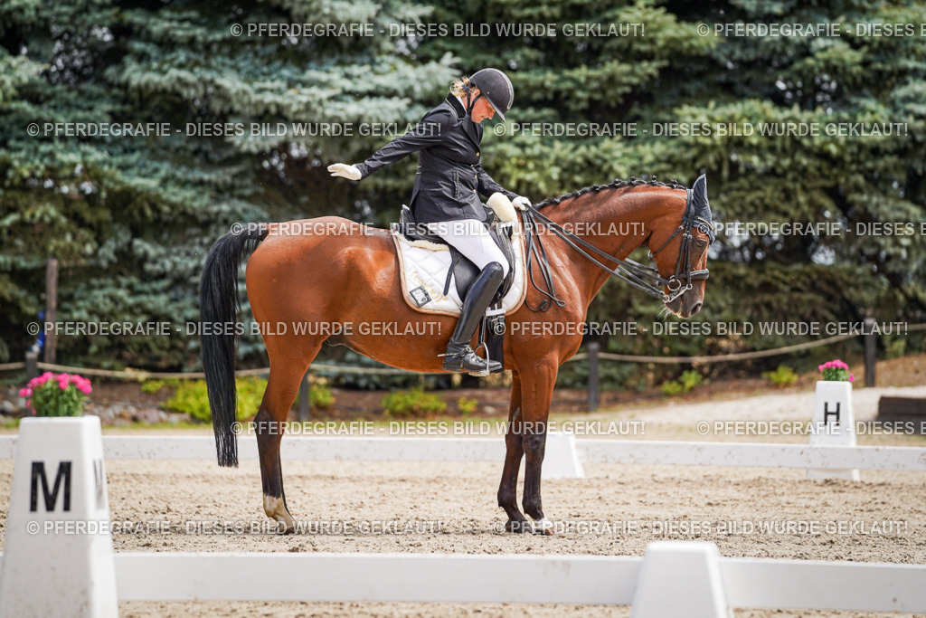 DSC03408 | Pferdegrafie