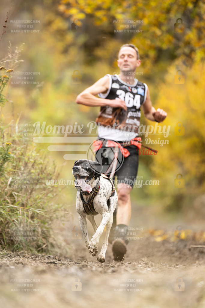 MompixPhotography_ICF_WC_2024_SA_Run_-305 | PayLife