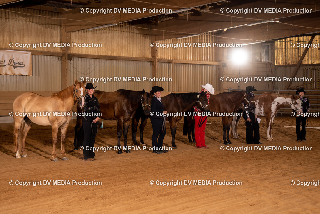 NID00065 | dv-media-shop - Realisiert mit Pictrs.com