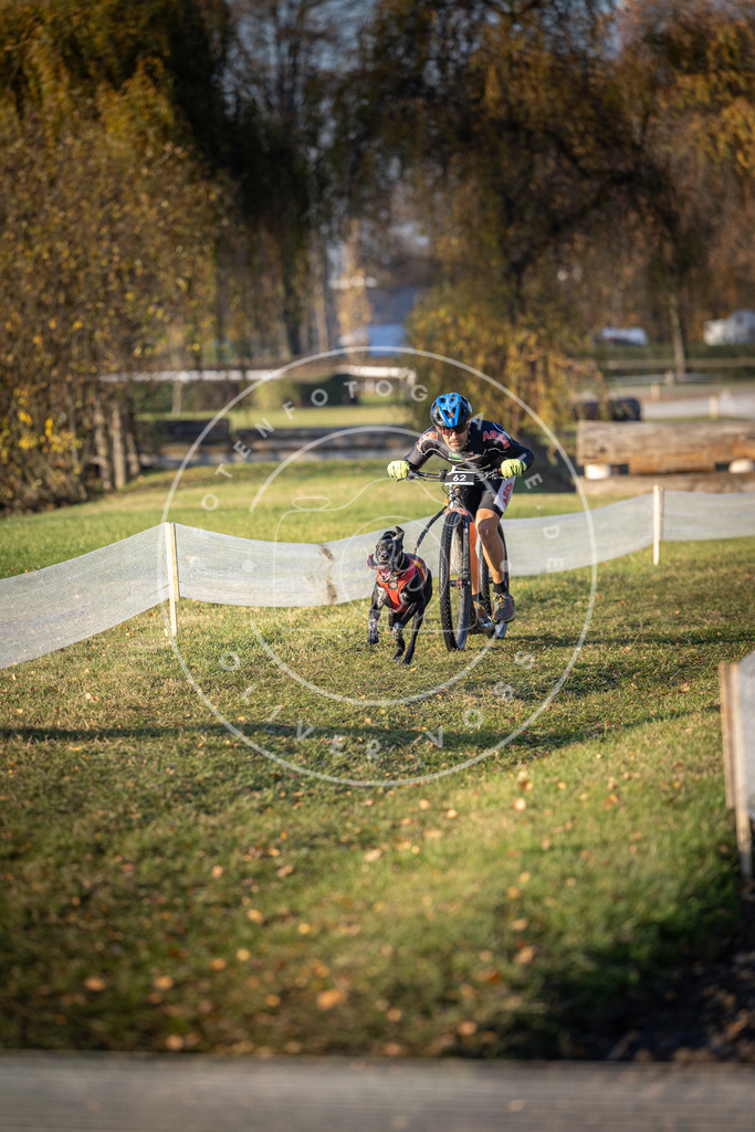 CaniXpix_DV3A0860 | Hundefotografie, Tierfotograf, Pfotenfotografie, Fotoshooting Hund, Hunde Portrait, Hundesport, Hundeportraits, Heideshooting, Hunde, Sportfotograf, Hundefotograf, Turnierhundsport, THS,  - Realisiert mit Pictrs.com