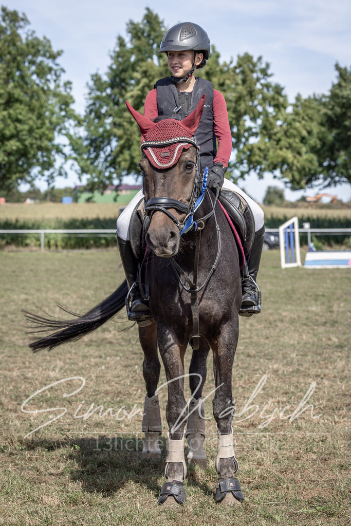 20250907-_3LI0462 | Tierfotografie Pferde, Hunde, Katzen, Haustiere.
Turnierfotografie Reitturniere, Reiten, Springreiten, Dressur in Hanau, dem Main-Kinzig-Kreis und dem Rhein-Main- Gebiet um Frankfurt