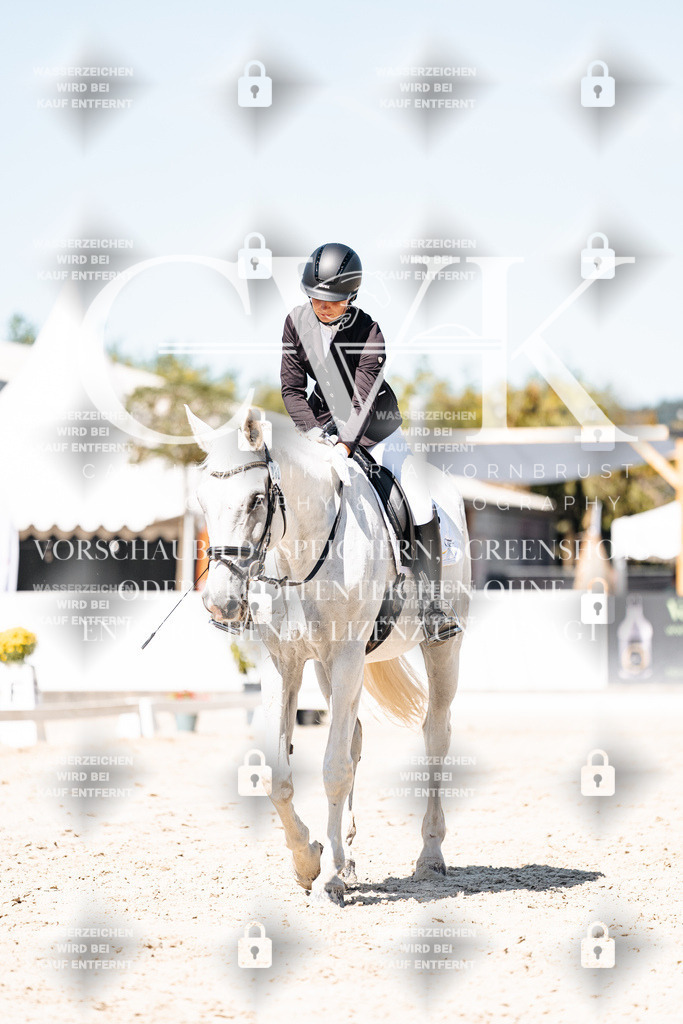 CK909976 | Turnierfotografie Pferdefotografie Trier Rheinland-Pfalz Pferdesport Reitsport Tierfotografie Sportfotografie Pferdevideo Pferdevideografie Equestrianvideography equestrianphotography  - Realisiert mit Pictrs.com