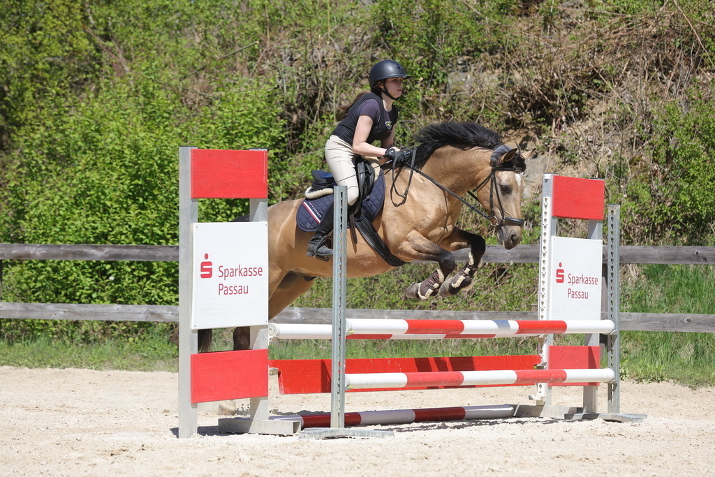 0P6A8861 | Willkommen bei Brunnmayr - Design & Fotografie – Ihrem Spezialisten für Reitturniere und Pferdeveranstaltungen in Oberösterreich, Salzburg und Bayern! Seit über 17 Jahren sind wir leidenschaftlich dabei.