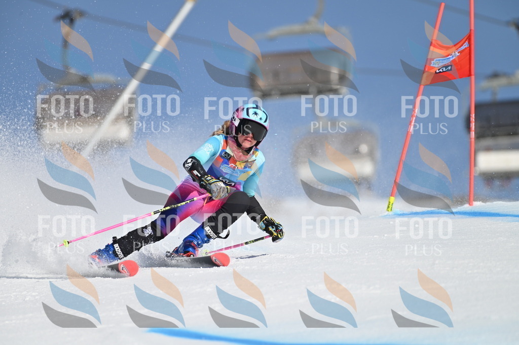 BGV_7848 | holidayphoto