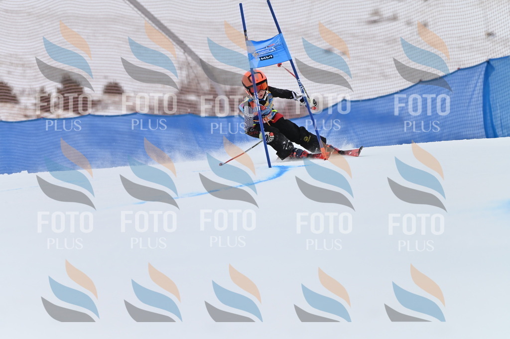 BGV_1756 | holidayphoto