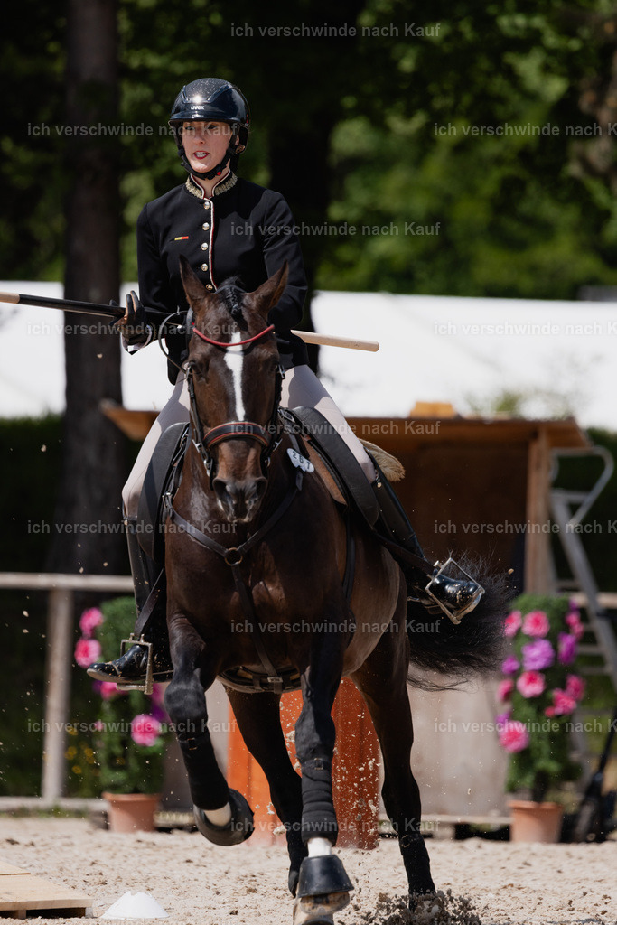 PI26_SP_StoibphotographyC2_C3503.CR3 | working equitationturnier fotograf videograf stoibphotography marixx film working equitation deutschland reitsport turnierfotografie eventfotografie equestrian events