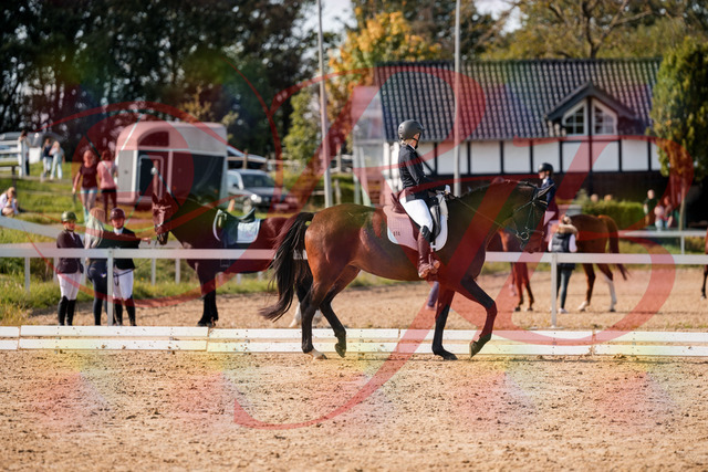 2026_10_03_Siefer-Hof_133610_Z63_96123836 | Professionelle Reitsport-, Turnier- und Eventfotografie von Robert Broda. Galerien mit ausgewählten und bearbeiteten Bildern direkt online ansehen und bestellen.